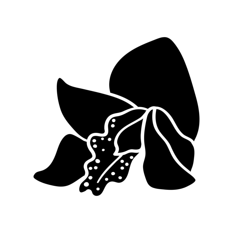 weborquídea brote silueta. grande orquídea flor para tarjetas y invitaciones vector