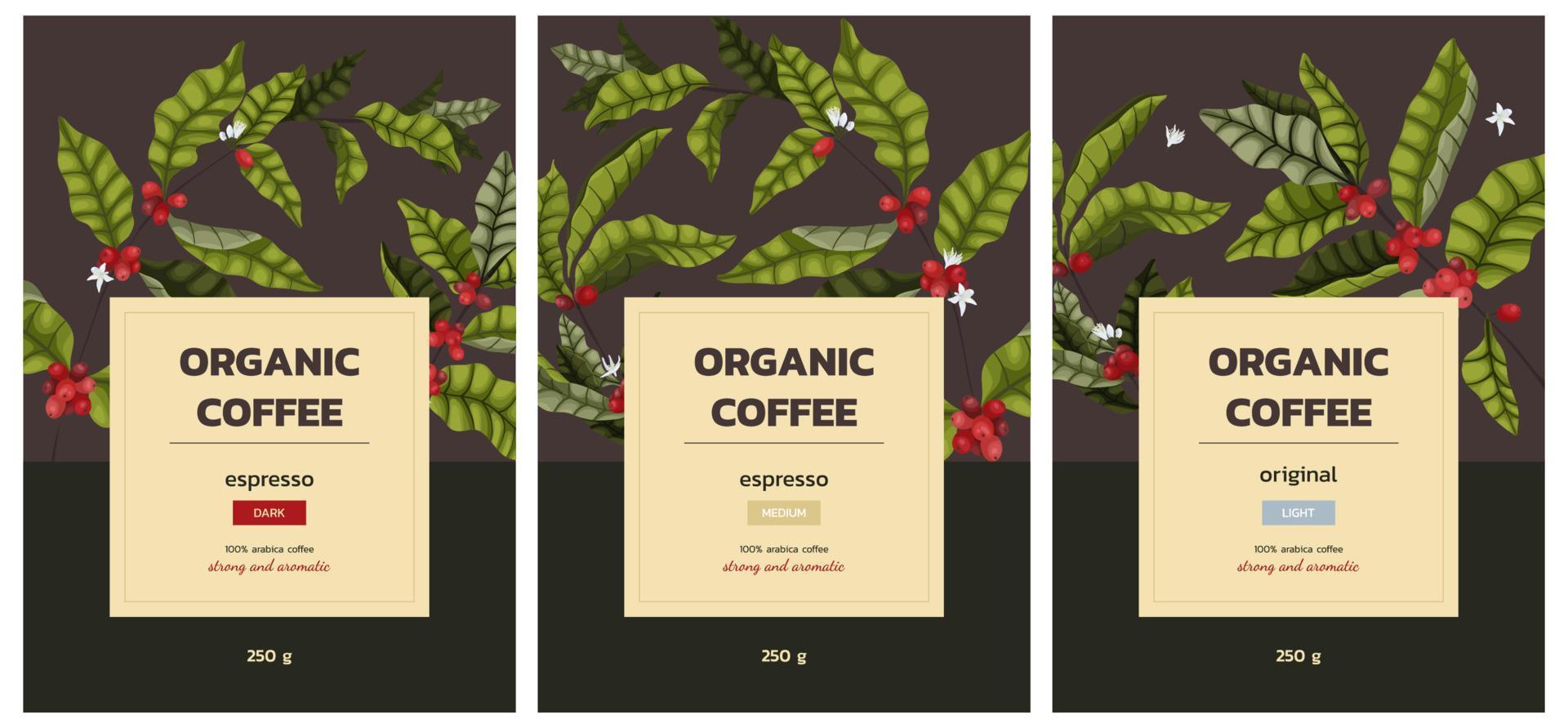 Vector illustration 3 concept of advertising coffee with branches and berries of coffee tree in cartoon style. Vertical banner or packaging design for coffee beans or ground