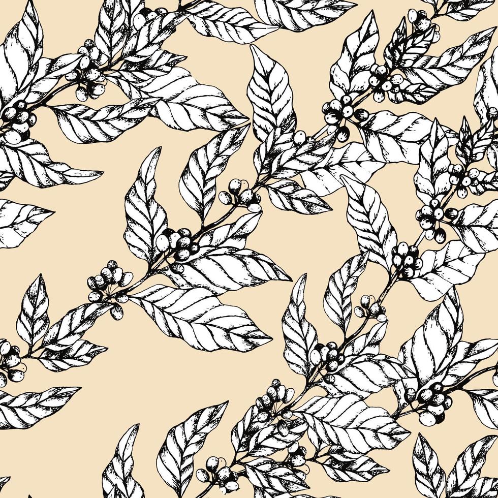 Seamless pattern with coffee branches. Illustration of leaves and berries of coffee in sketch engraving style. Vintage background with leaves and coffee on vanilla backdrop. vector