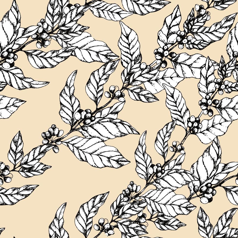 Seamless pattern with coffee branches. Illustration of leaves and berries of coffee in sketch engraving style. Vintage background with leaves and coffee on vanilla backdrop. vector