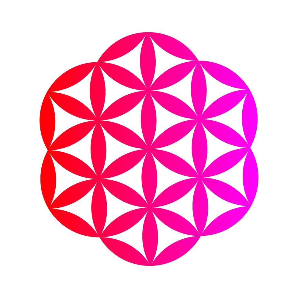 rosado y rojo flor de vida modelo logo vector