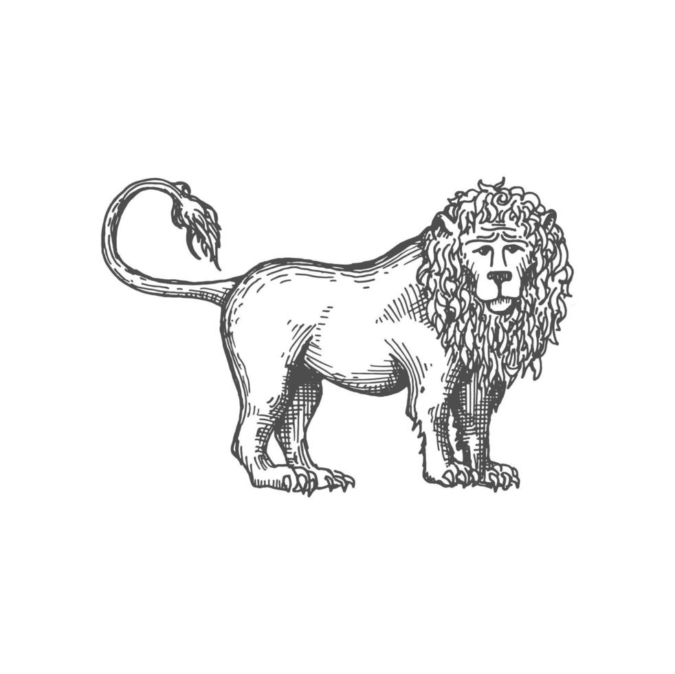 Royal heraldic lion sketch. Vector king of animals