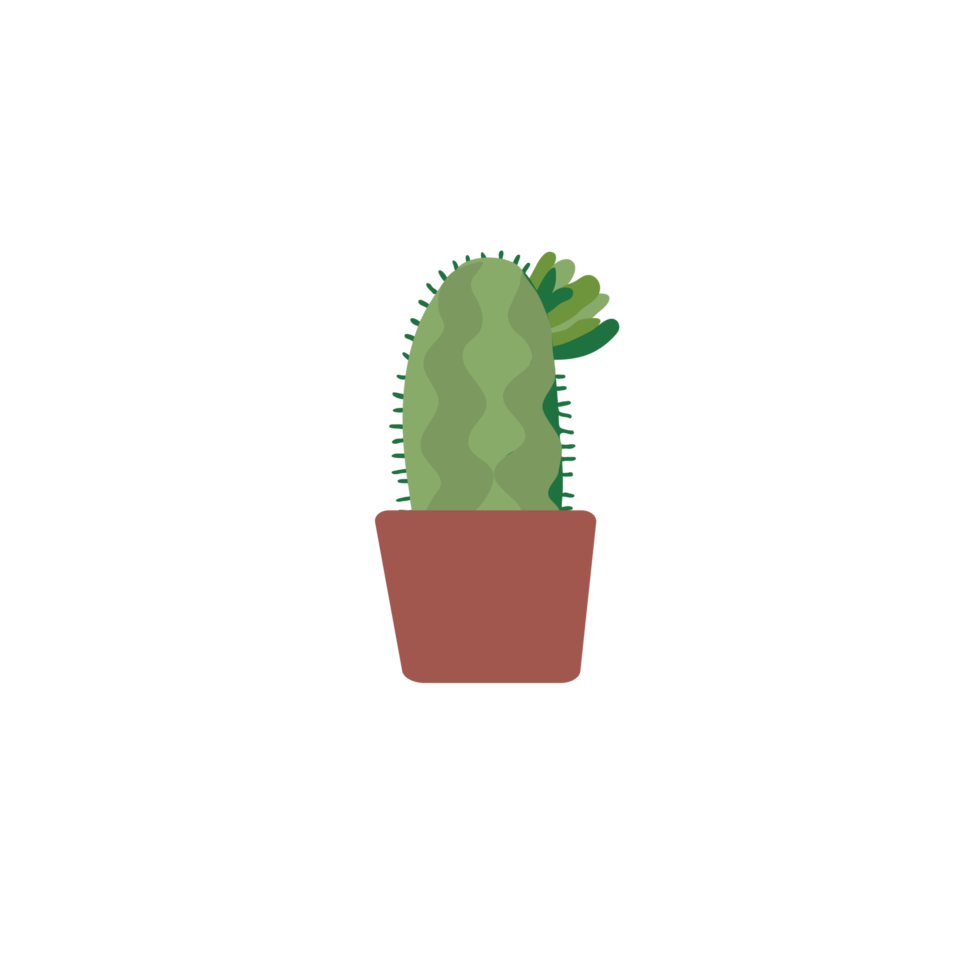 green cactus on transparent background png