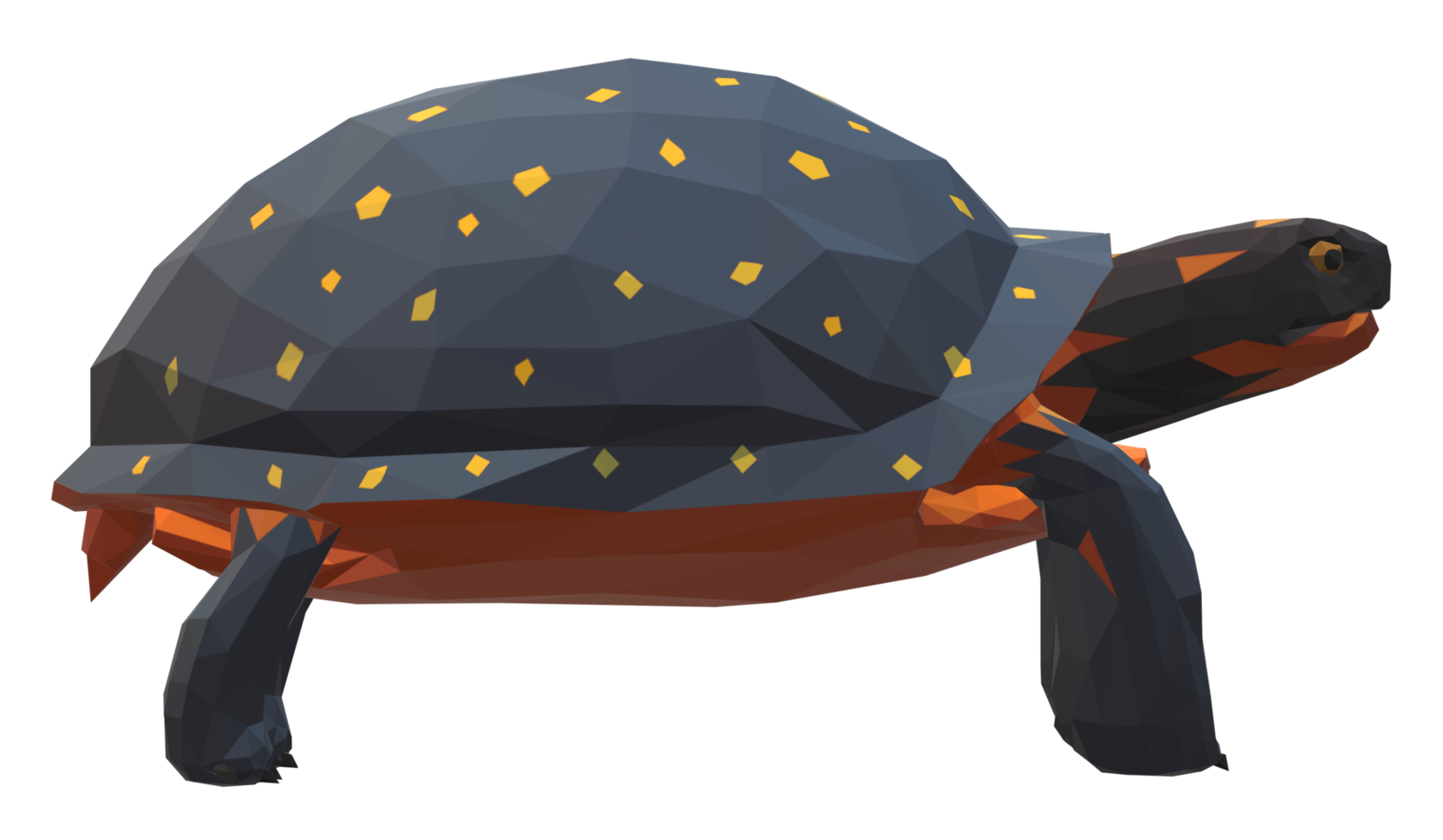 Low poly Tortoise Side view on a Transparent Background png