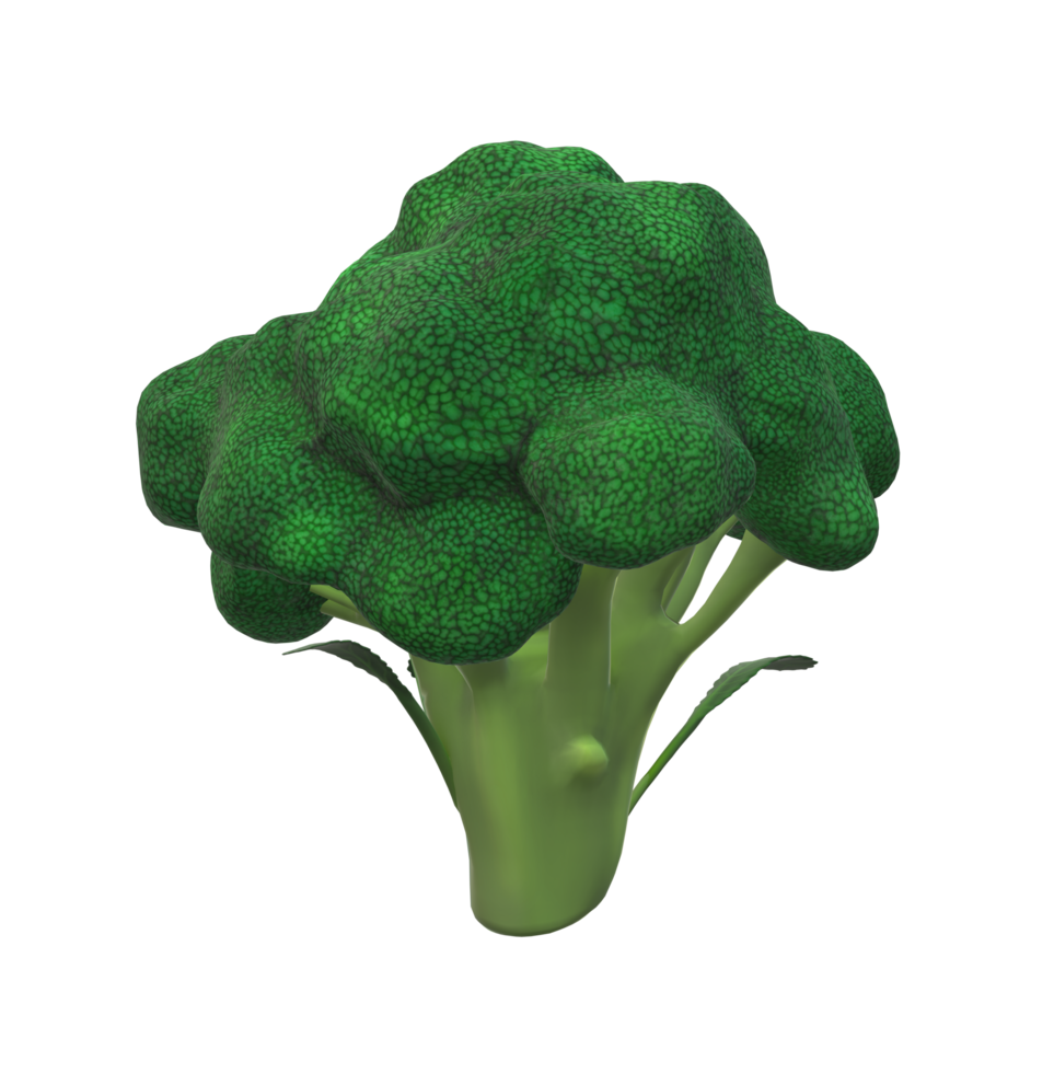 broccoli isolerat på transparent bakgrund png