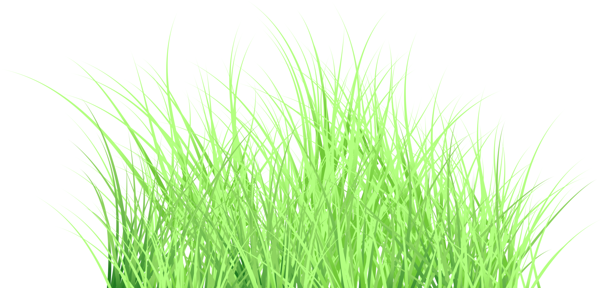 grass transparent background png