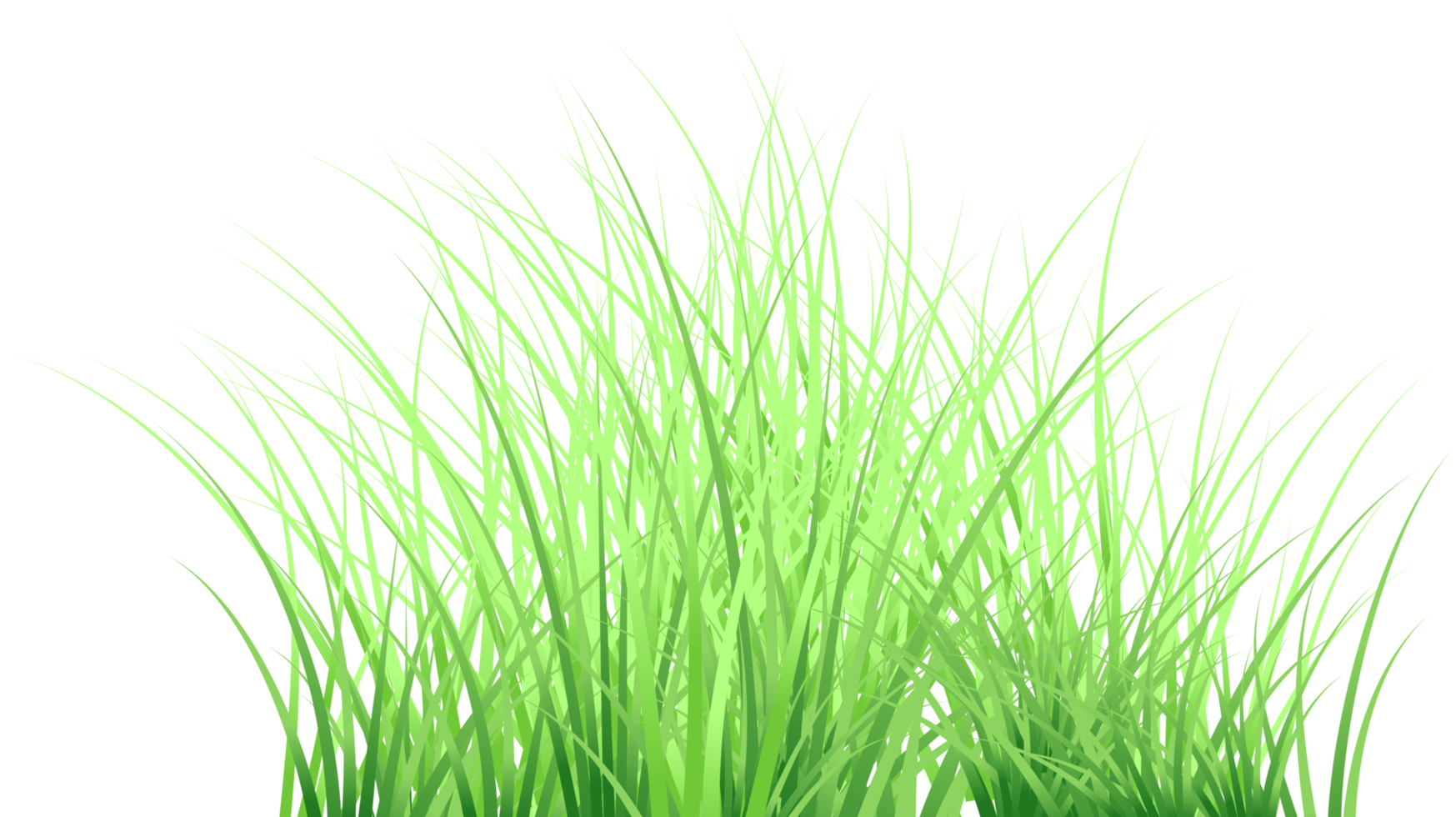 grass transparent background png