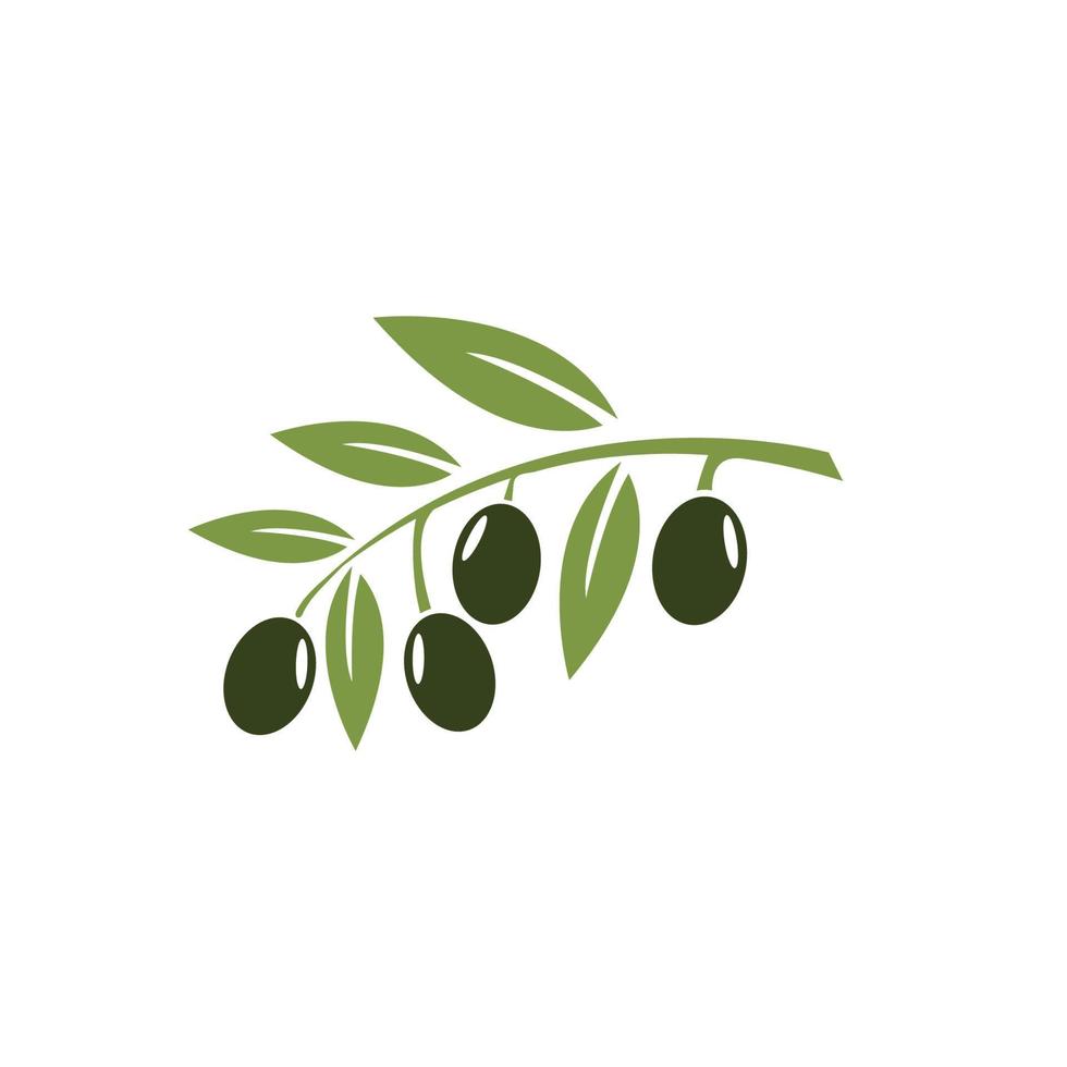 olive icon vector illustration