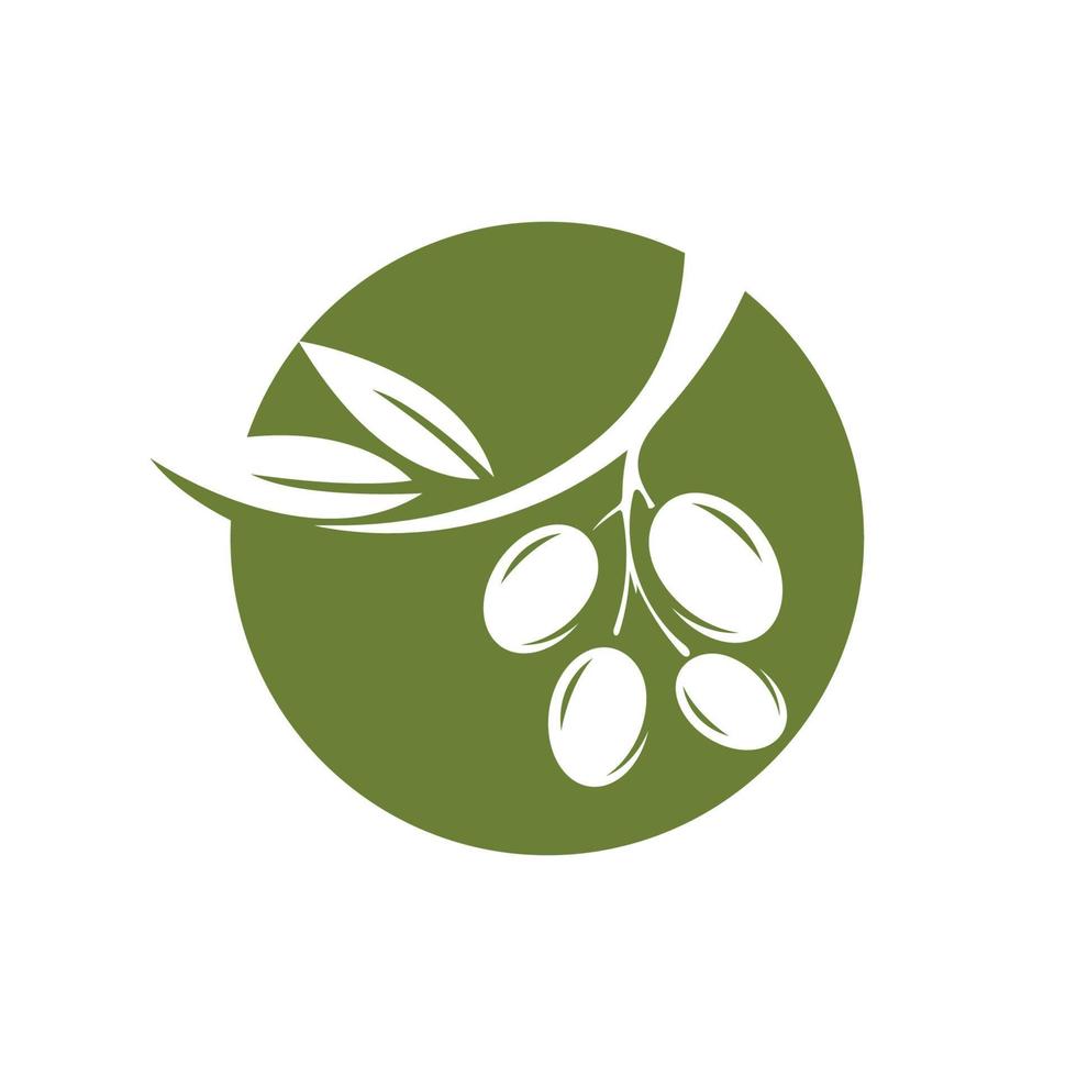 olive icon vector illustration