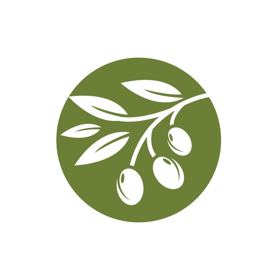 olive icon vector illustration