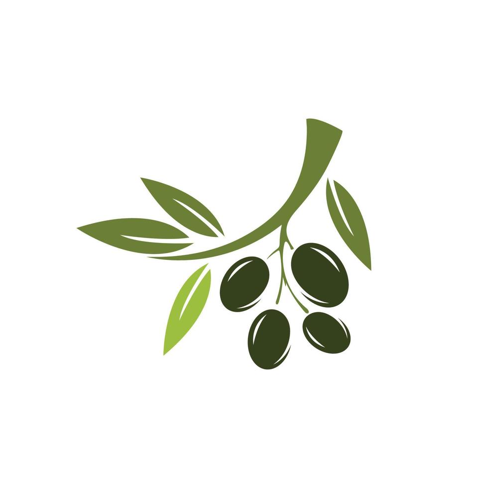 olive icon vector illustration