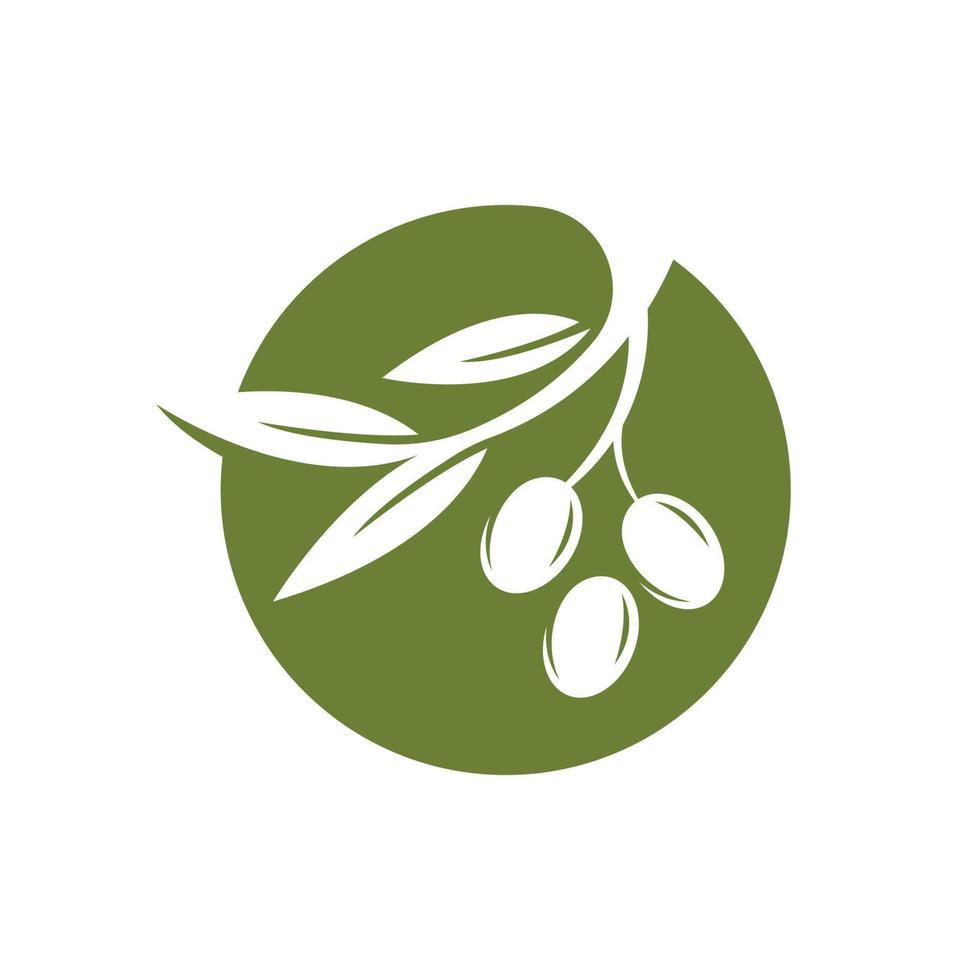 olive icon vector illustration