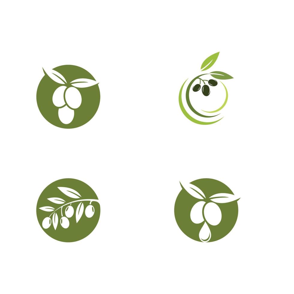 olive icon vector illustration