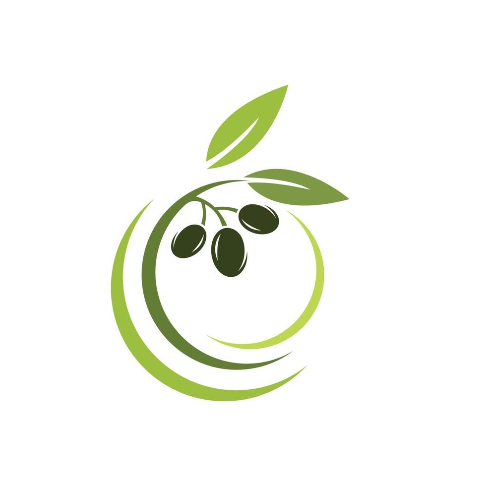 olive icon vector illustration