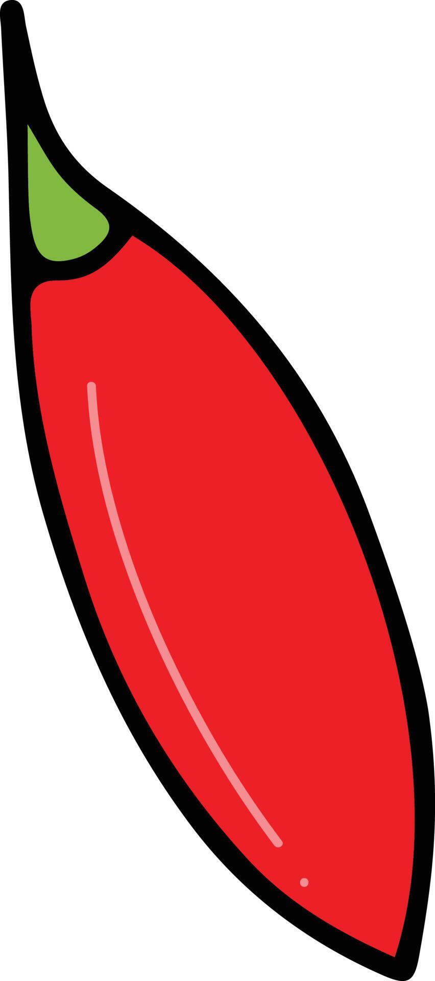 Chilli drawing isolated 22419736 Vector Art at Vecteezy