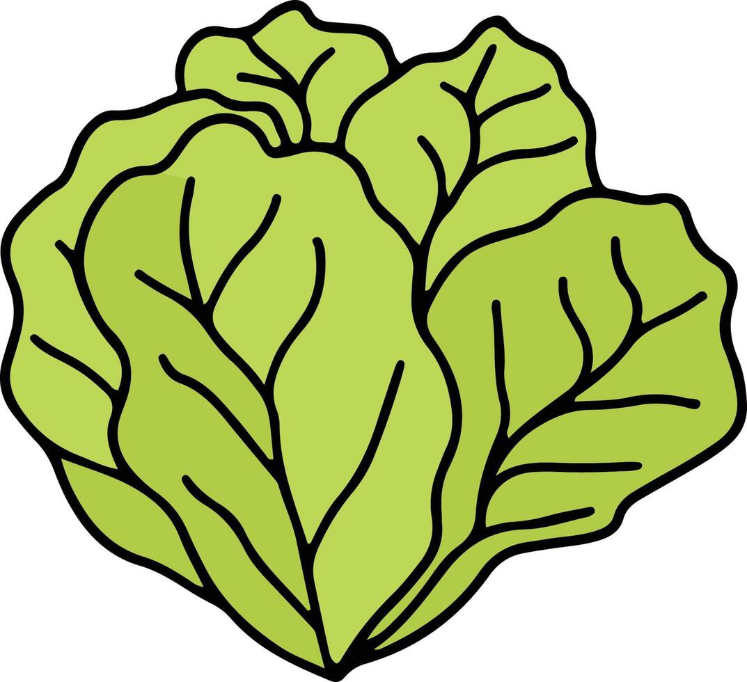 Vegetable drawing isolated 22419743 Vector Art at Vecteezy