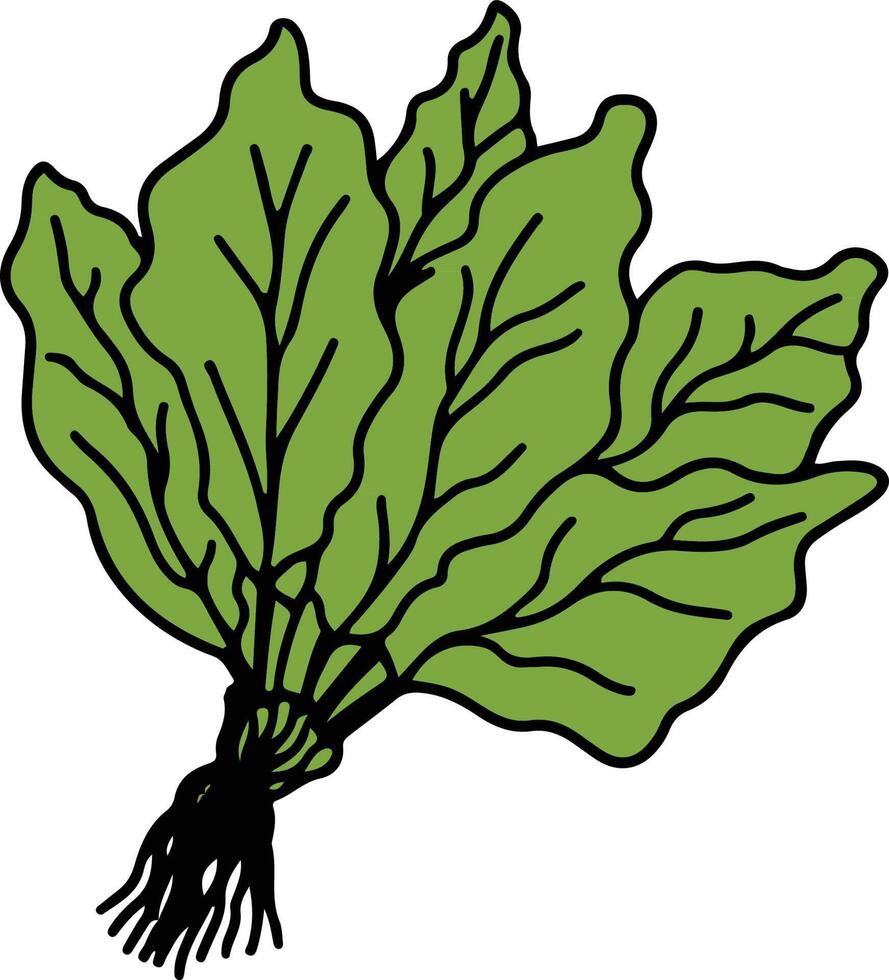 vegetal dibujo aislado vector