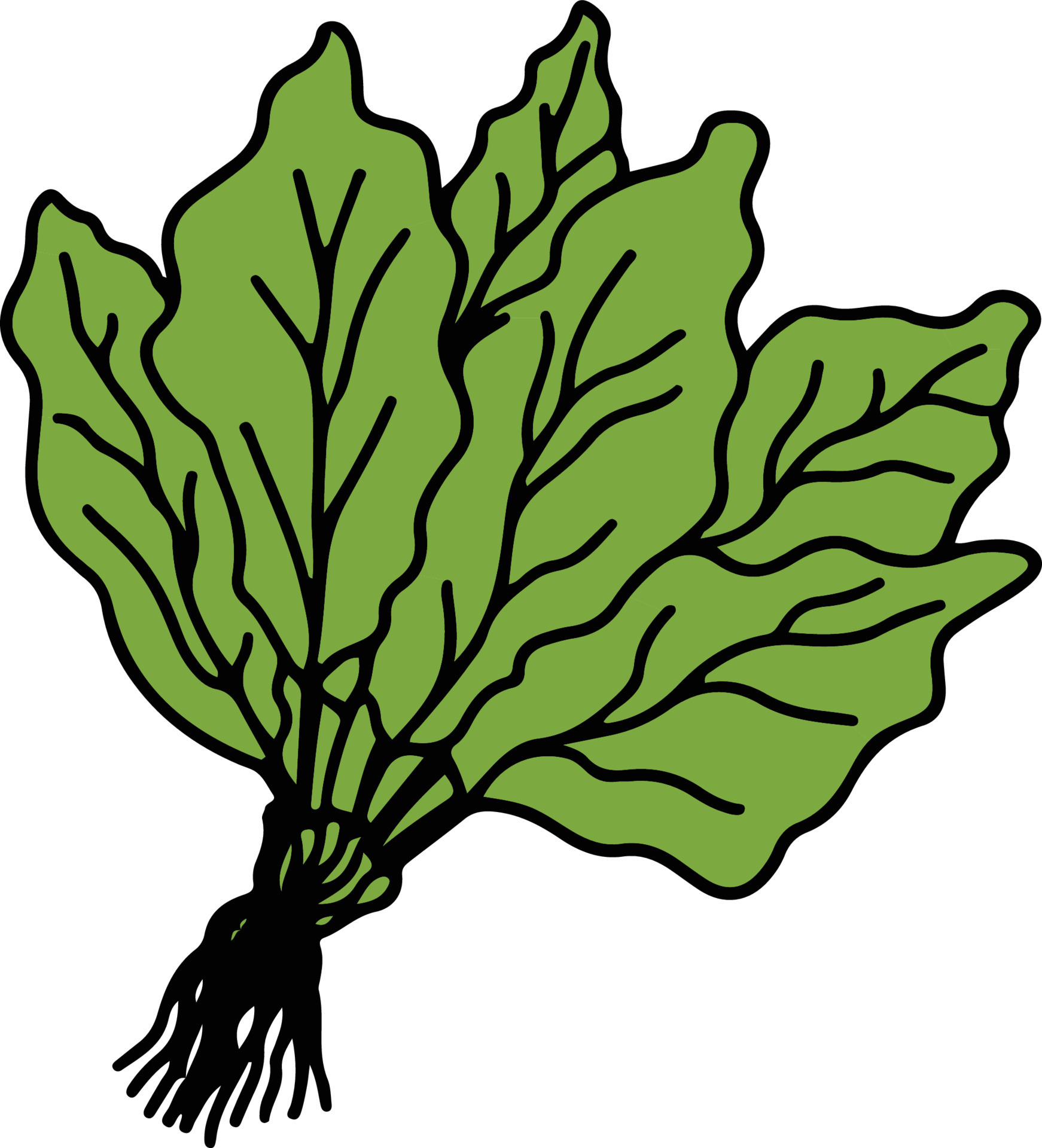 Vegetable drawing isolated 22419754 Vector Art at Vecteezy