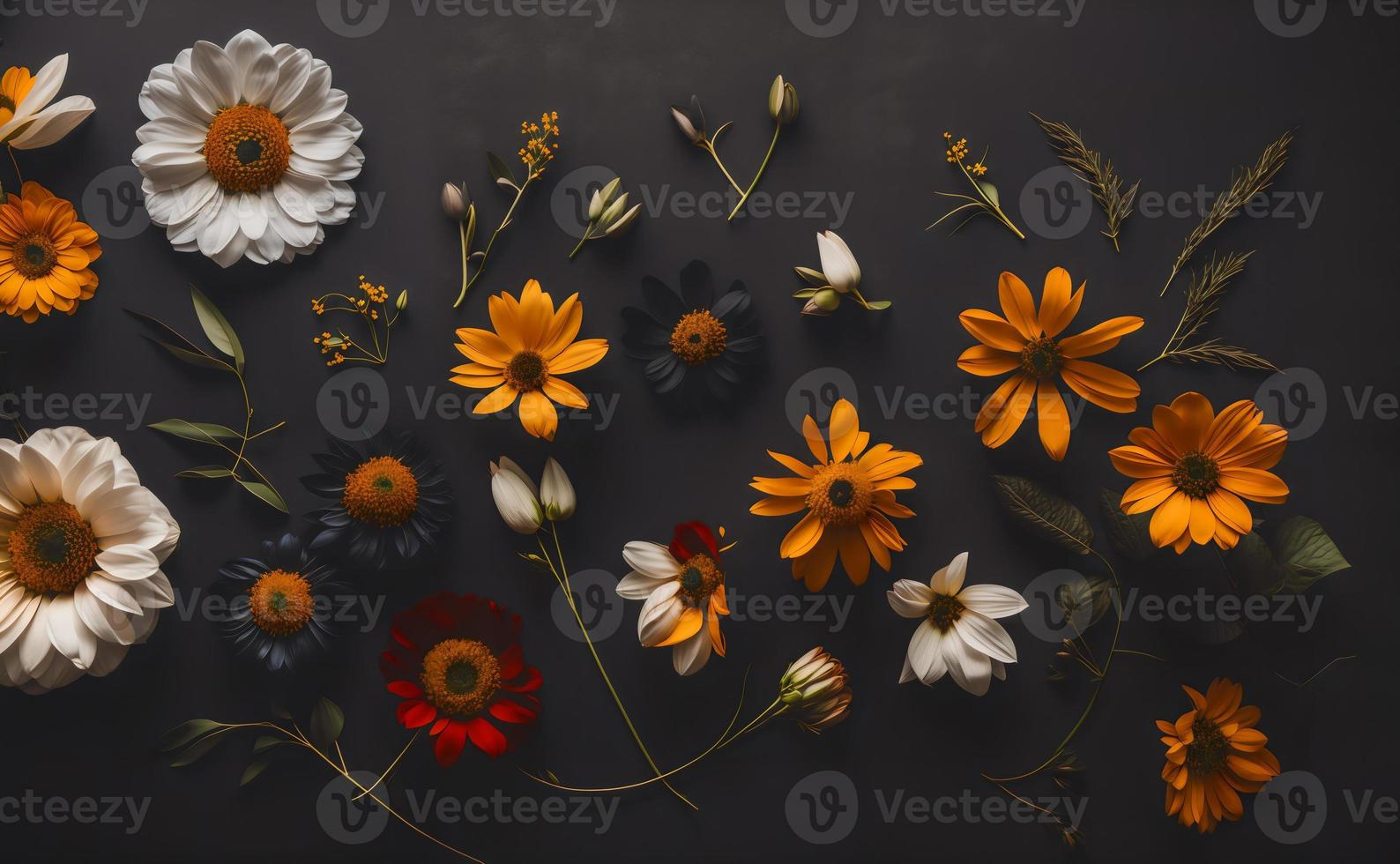 Beauty of Flowers Against a Dark Background, flat lay, top view photo