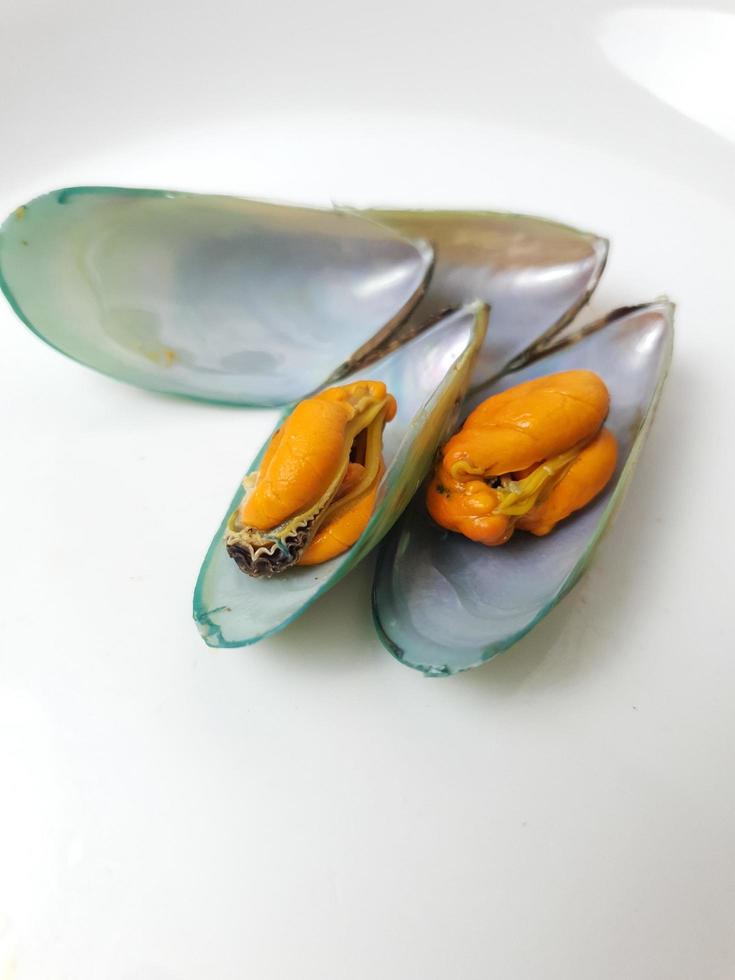 verde mejillón en un plato en un blanco fondo, Fresco nuevo Zelanda mejillón o perna canalículo en un blanco antecedentes. aislado verde mejillones. foto