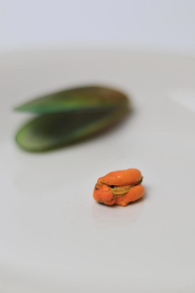 verde mejillón en un plato en un blanco fondo, Fresco nuevo Zelanda mejillón o perna canalículo en un blanco antecedentes. aislado verde mejillones. foto