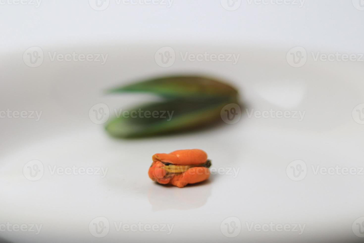 Green Mussel on a plate on a white background, Fresh New Zealand Mussel or Perna Canaliculus on a White Background. isolated green mussels. photo