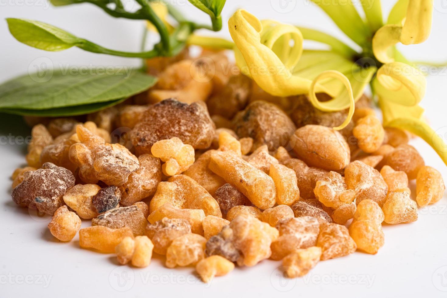 Frankincense or olibanum aromatic resin isolated on white background used in incense and perfumes. photo