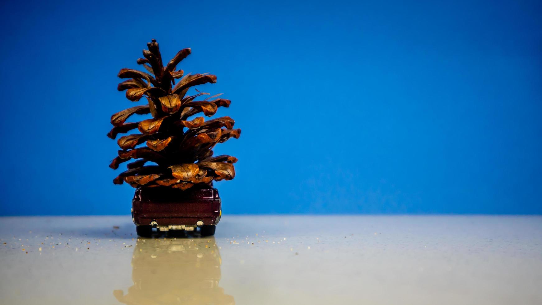 Minahasa, Indonesia  December 2022, the toy car transporting pinecones photo