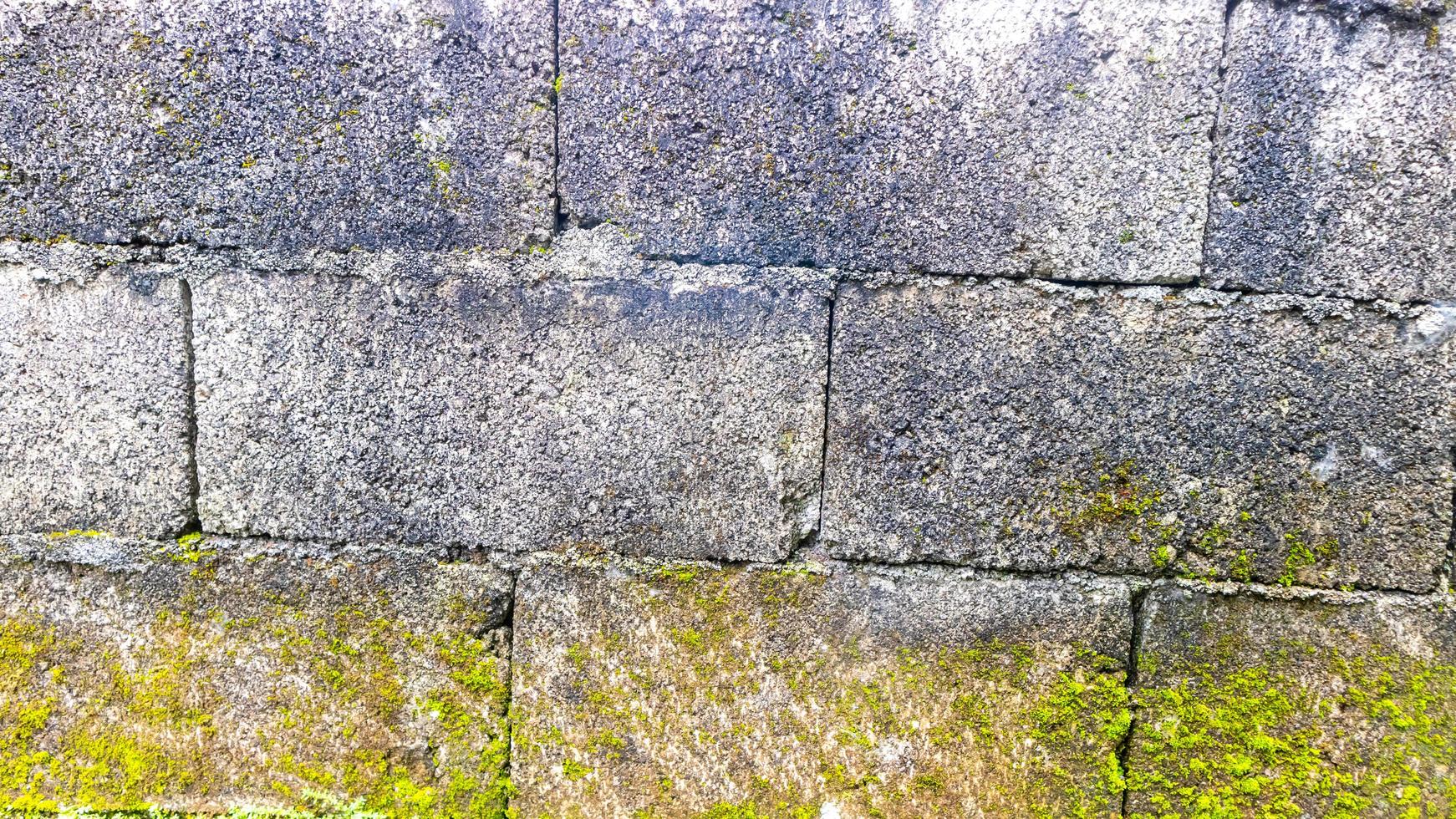 mossy brick wall in the background photo