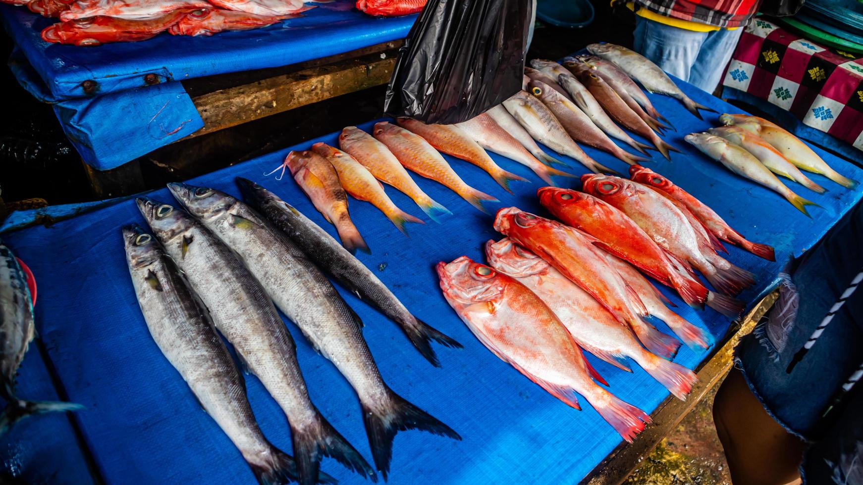 Minahasa, Indonesia  January 2023, raw fish in the Tondano traditional market photo