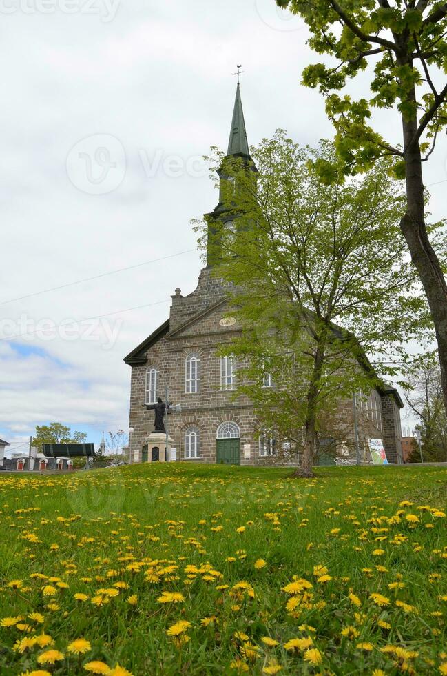 Iglesia edificio con verde césped césped con amarillo diente de león foto