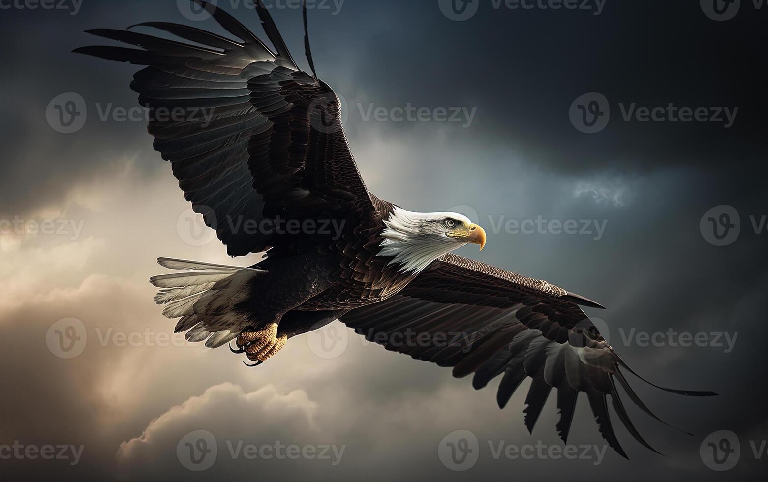 Bald eagle soaring in the sky with wings spread wide. The background is cloud. photo