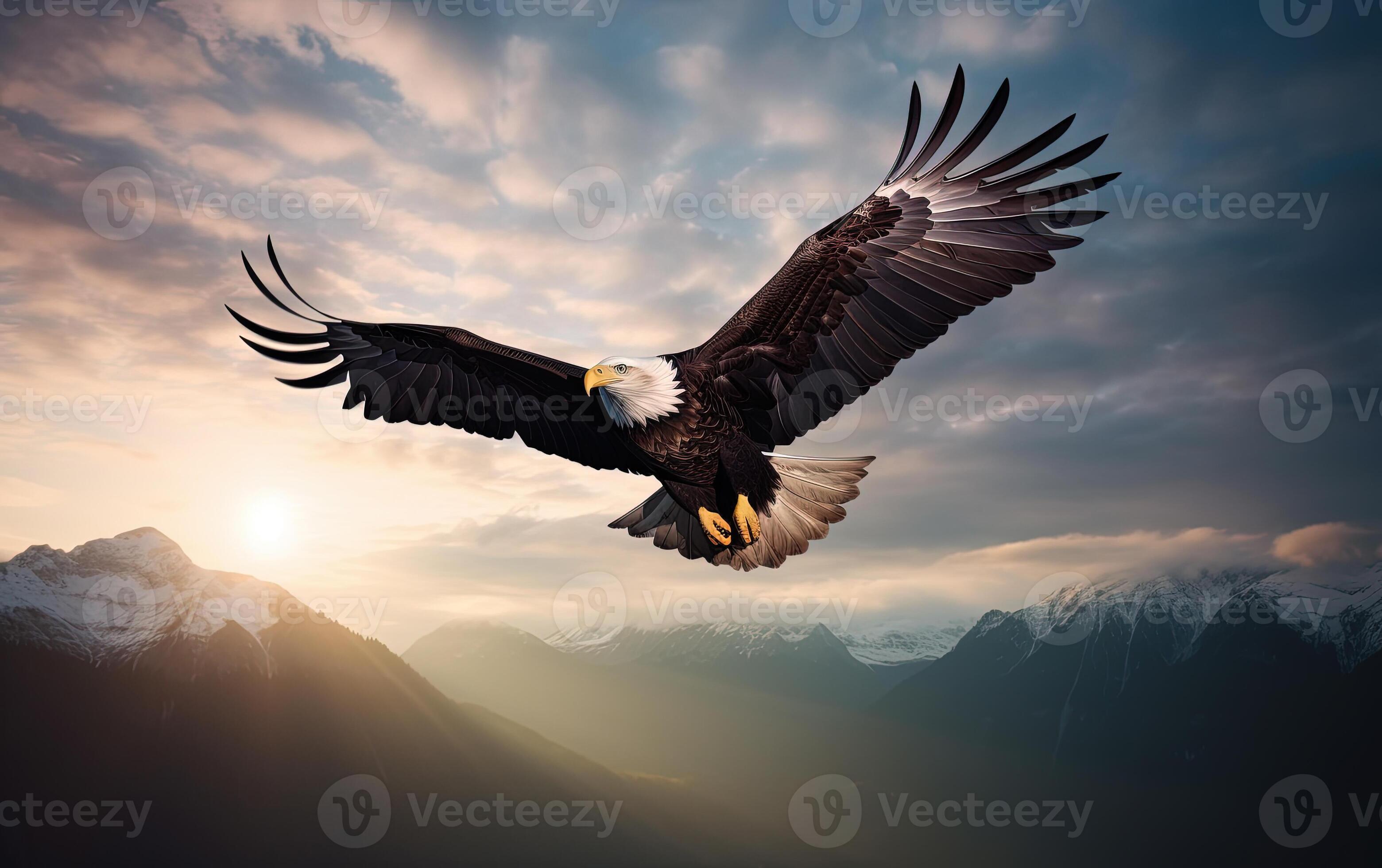 Bald eagle soaring in the sky with wings spread wide The background is