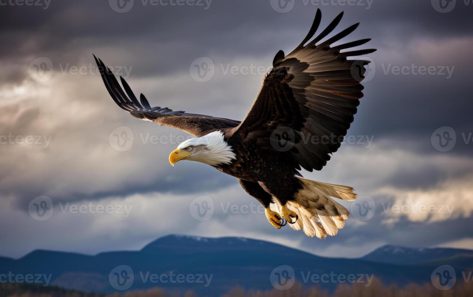 Bald eagle soaring in the sky with wings spread wide. The background is mountain. photo