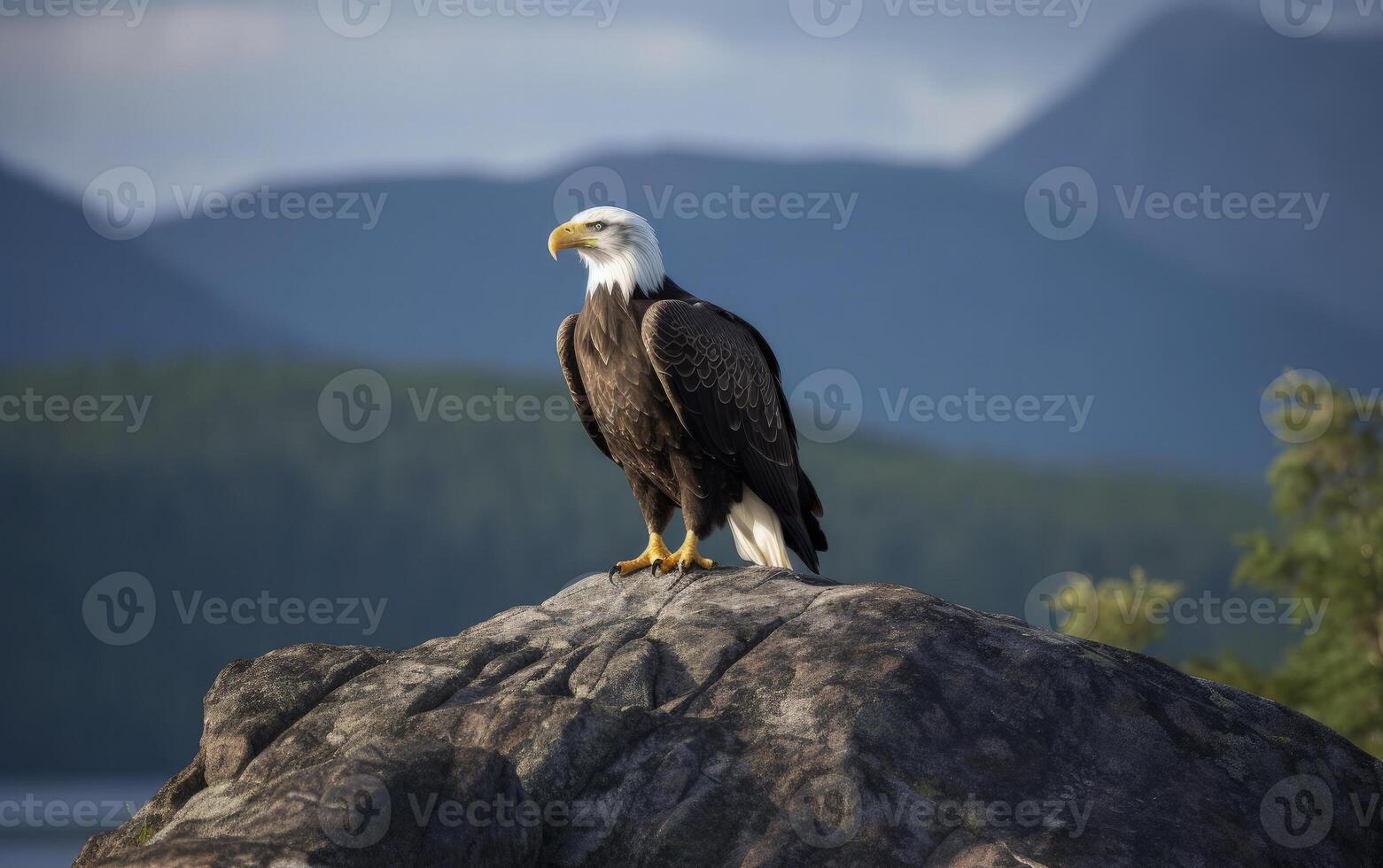 Bald Eagle perched a top rocky cliff with mountain background. photo