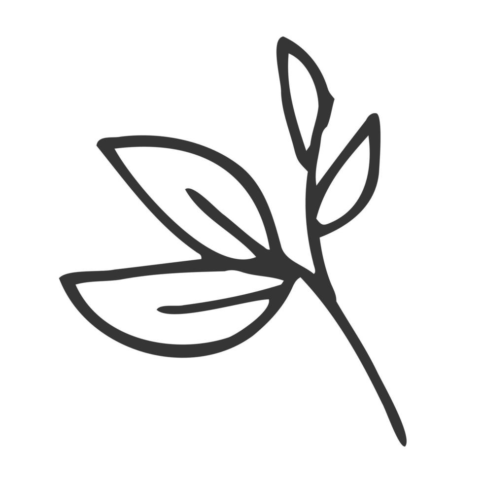 Floral Decoration Branch Leaf Plant Line vector