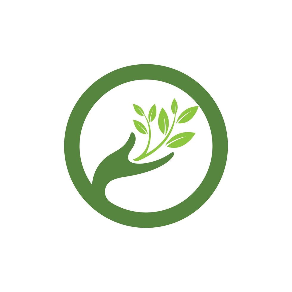 logotipos de la ecología de la hoja del árbol verde vector