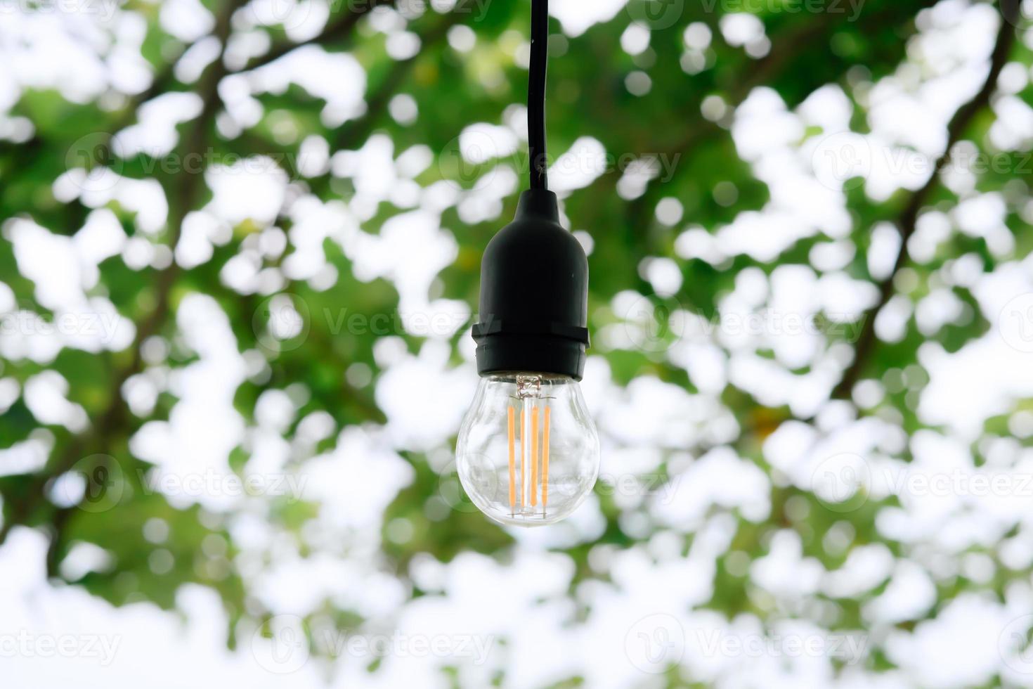 light bulb on green leaves background photo