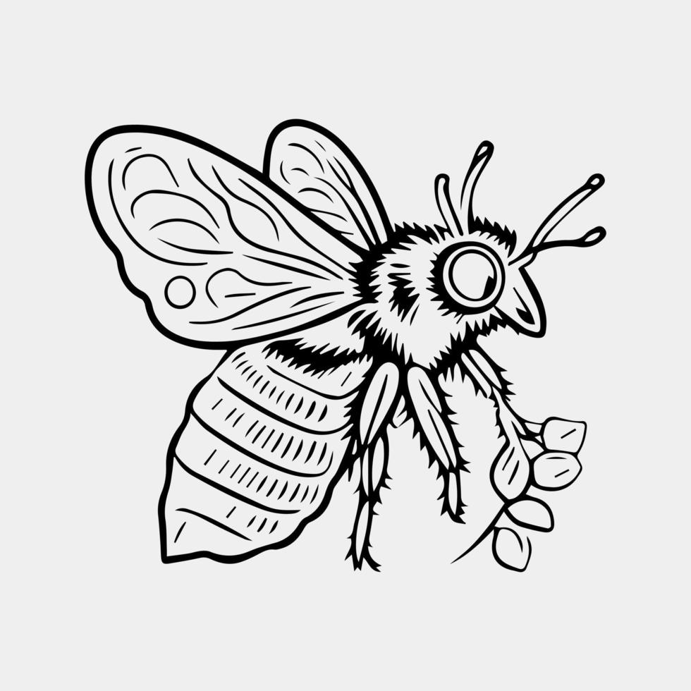 Honey bee Hand drawn vector vintage style illustrations.