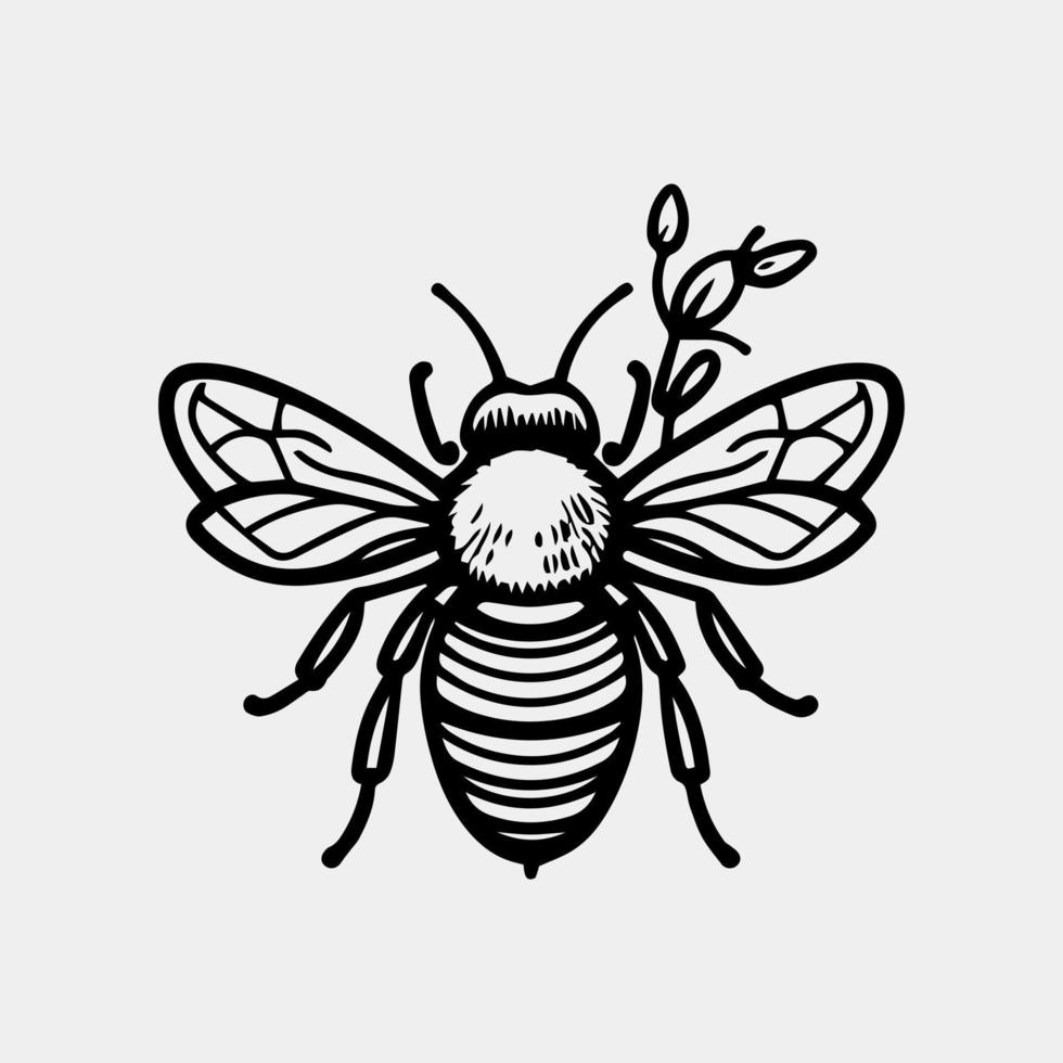 Honey bee Hand drawn vector vintage style illustrations.