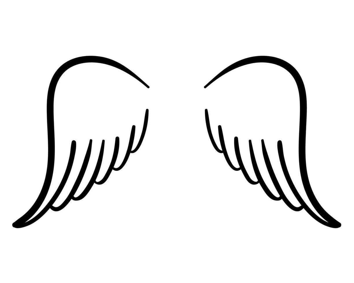 angel wings in heaven hawk feather wing pattern vector