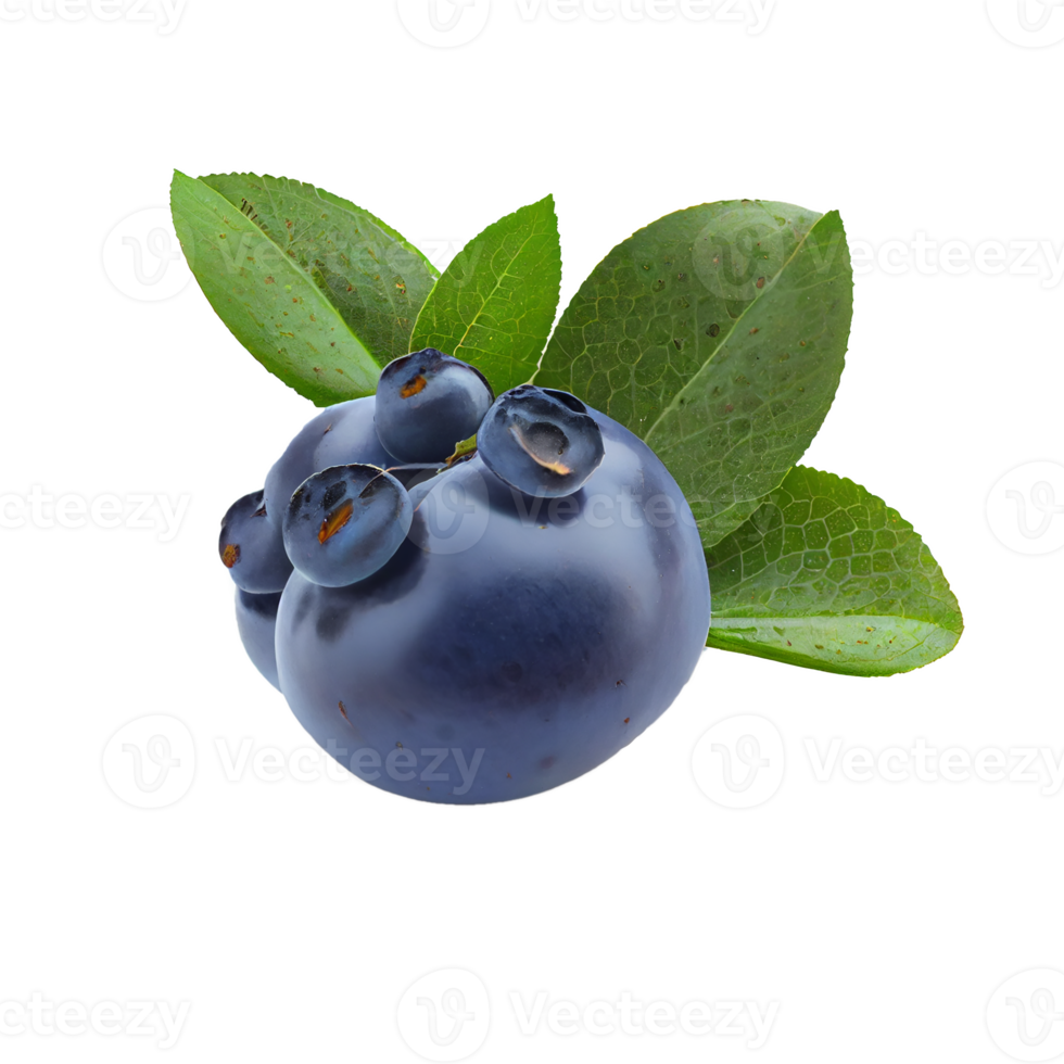 BlueBerry cut out png, BlueBerry on transparent background png