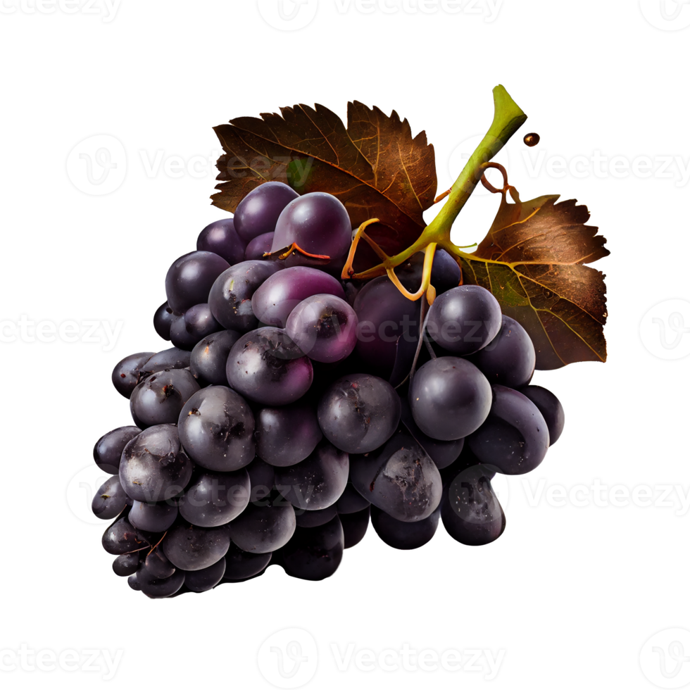 Bunch of grapes on png transparent background