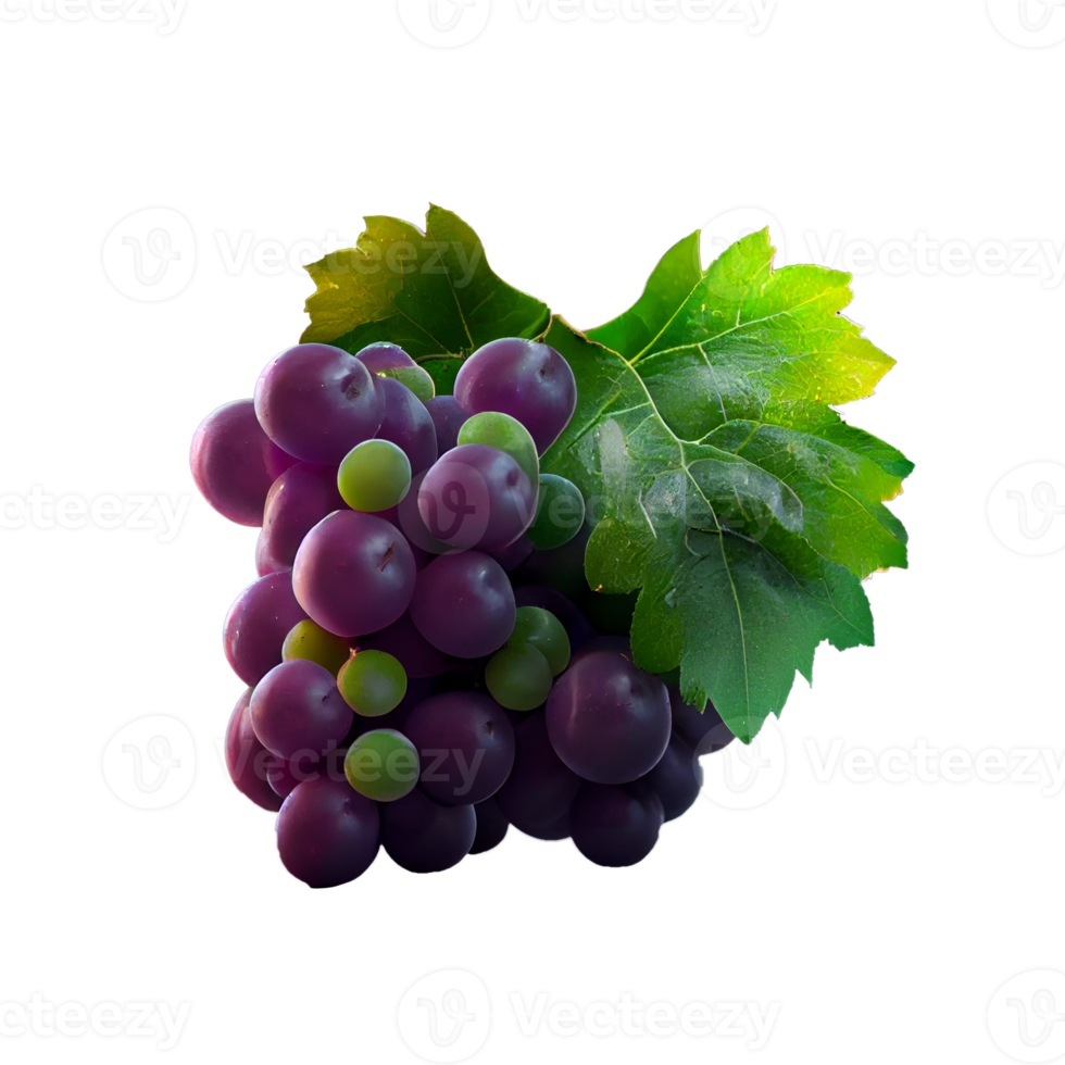 Bunch of grapes on png transparent background