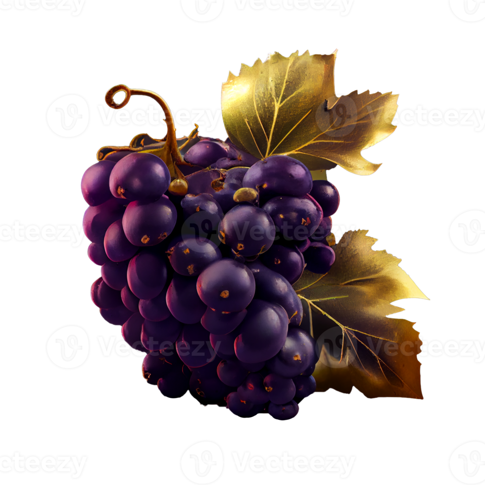 Bunch of grapes on png transparent background