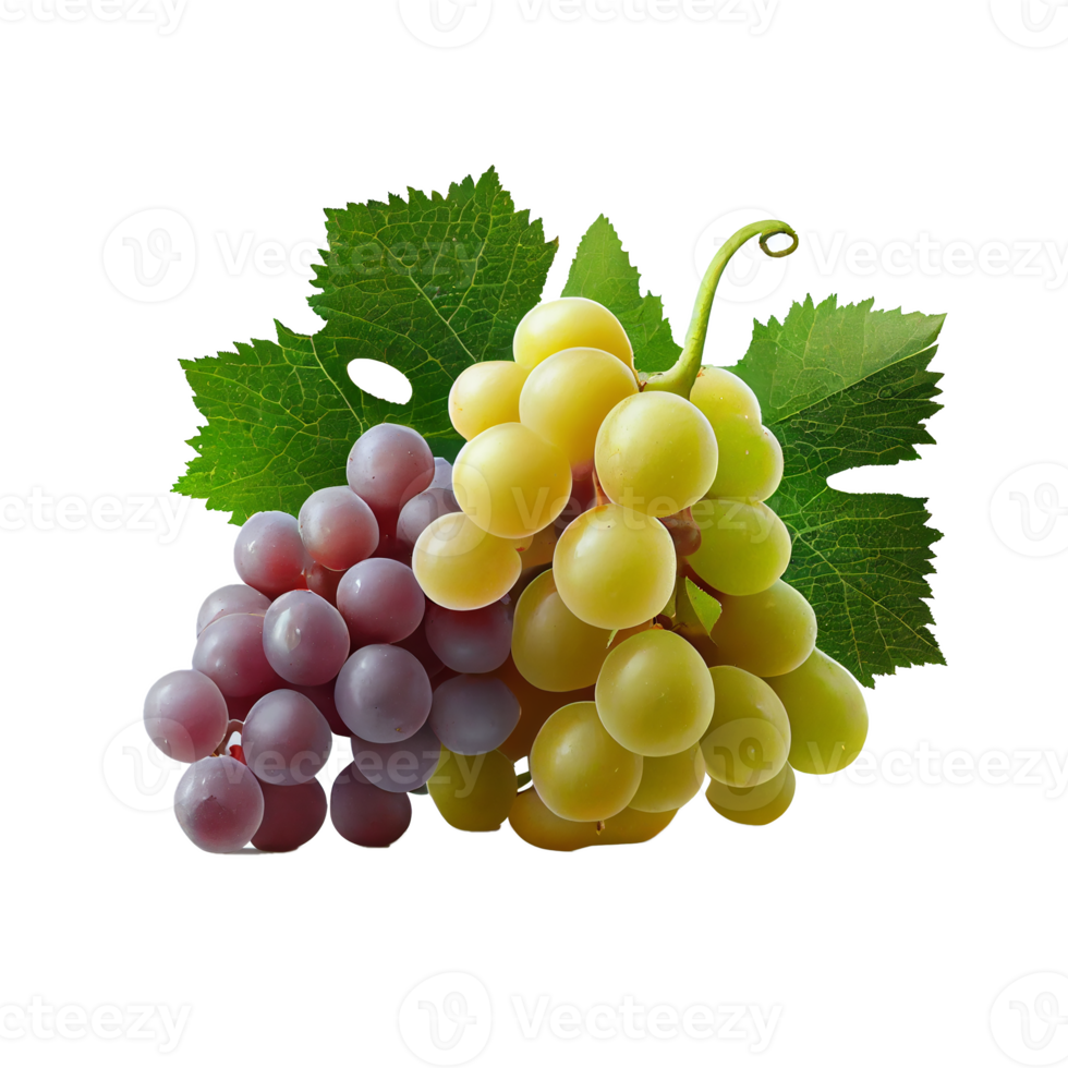 Bunch of grapes on png transparent background