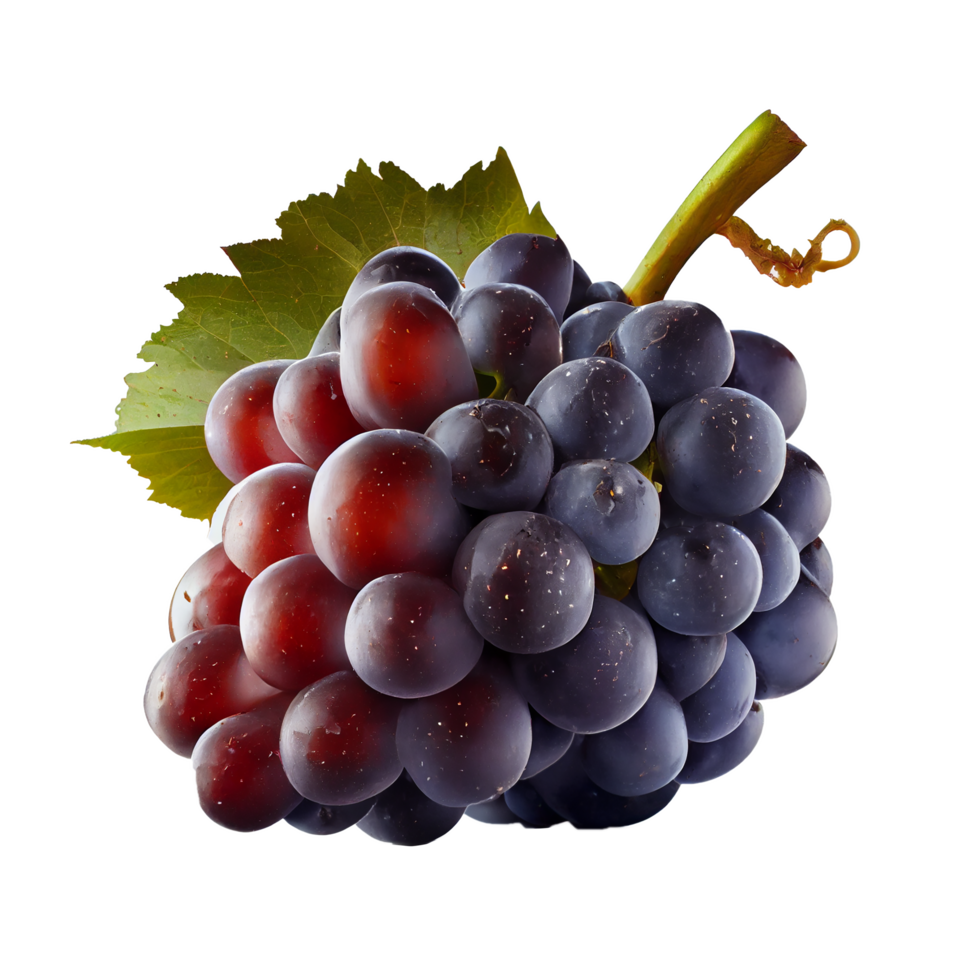 gratis manojo de uvas en png transparente antecedentes