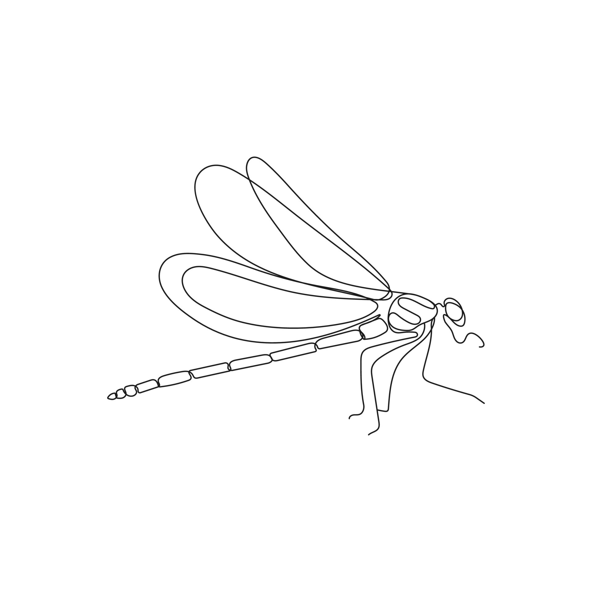 Dragonfly insect in one continuous line drawing. Minimal hand drawn vector  illustration. 22430969 Vector Art at Vecteezy