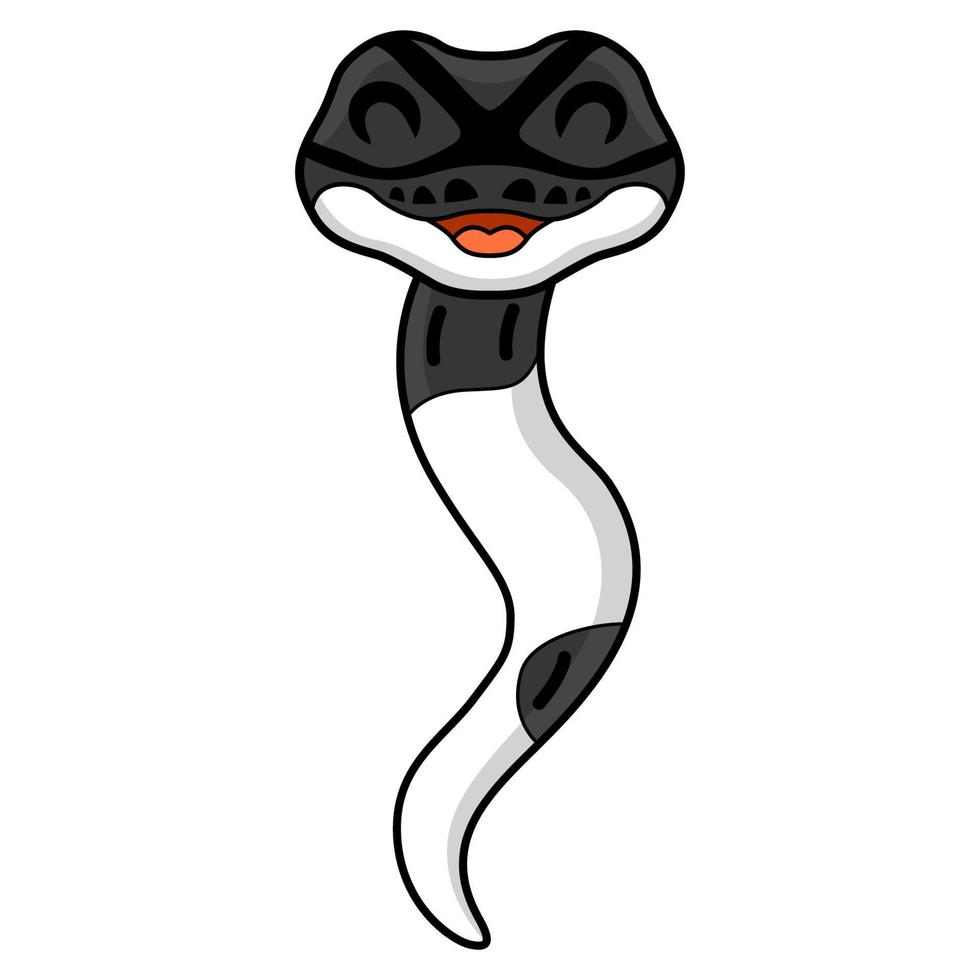 Cute panda pied ball python cartoon vector