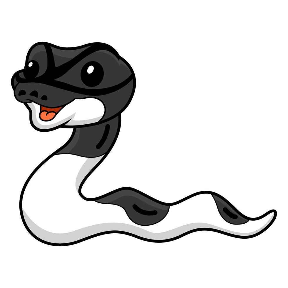 Cute panda pied ball python cartoon vector